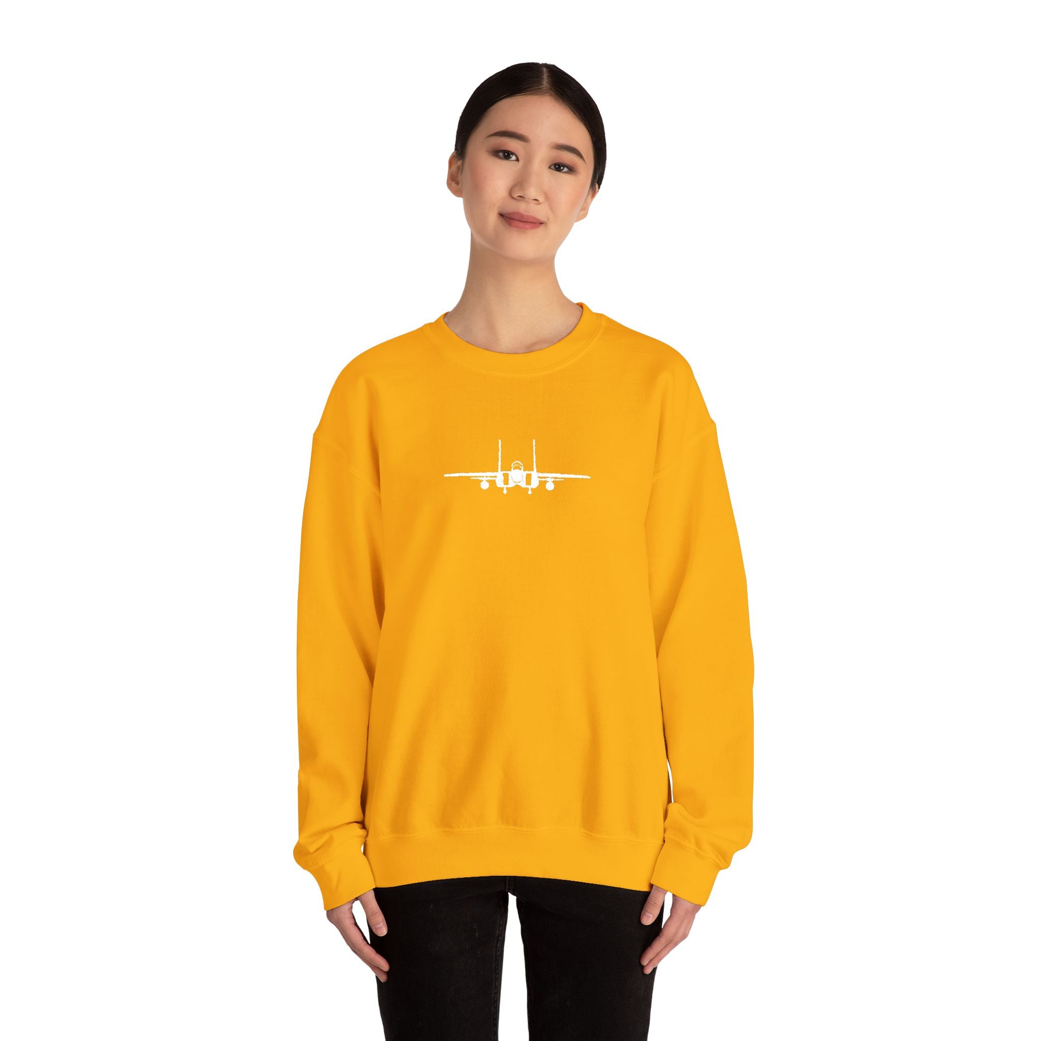 F-15 Embroidered Sweatshirt (Unisex)