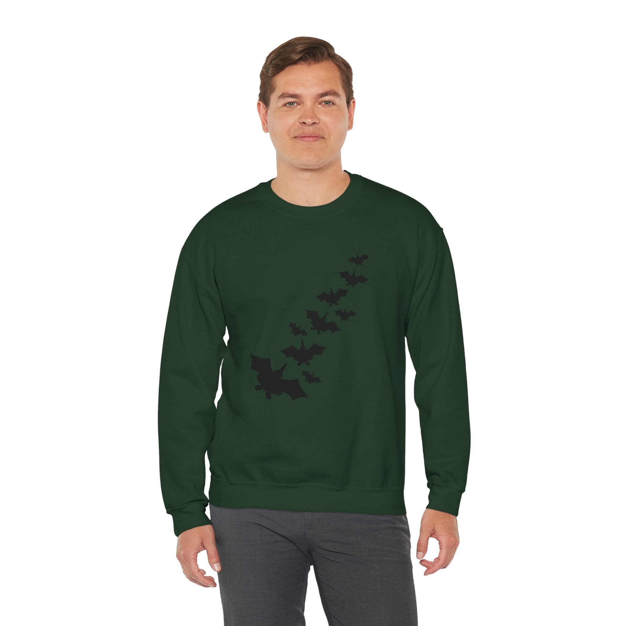 F-22 Bats Sweatshirt (Unisex)