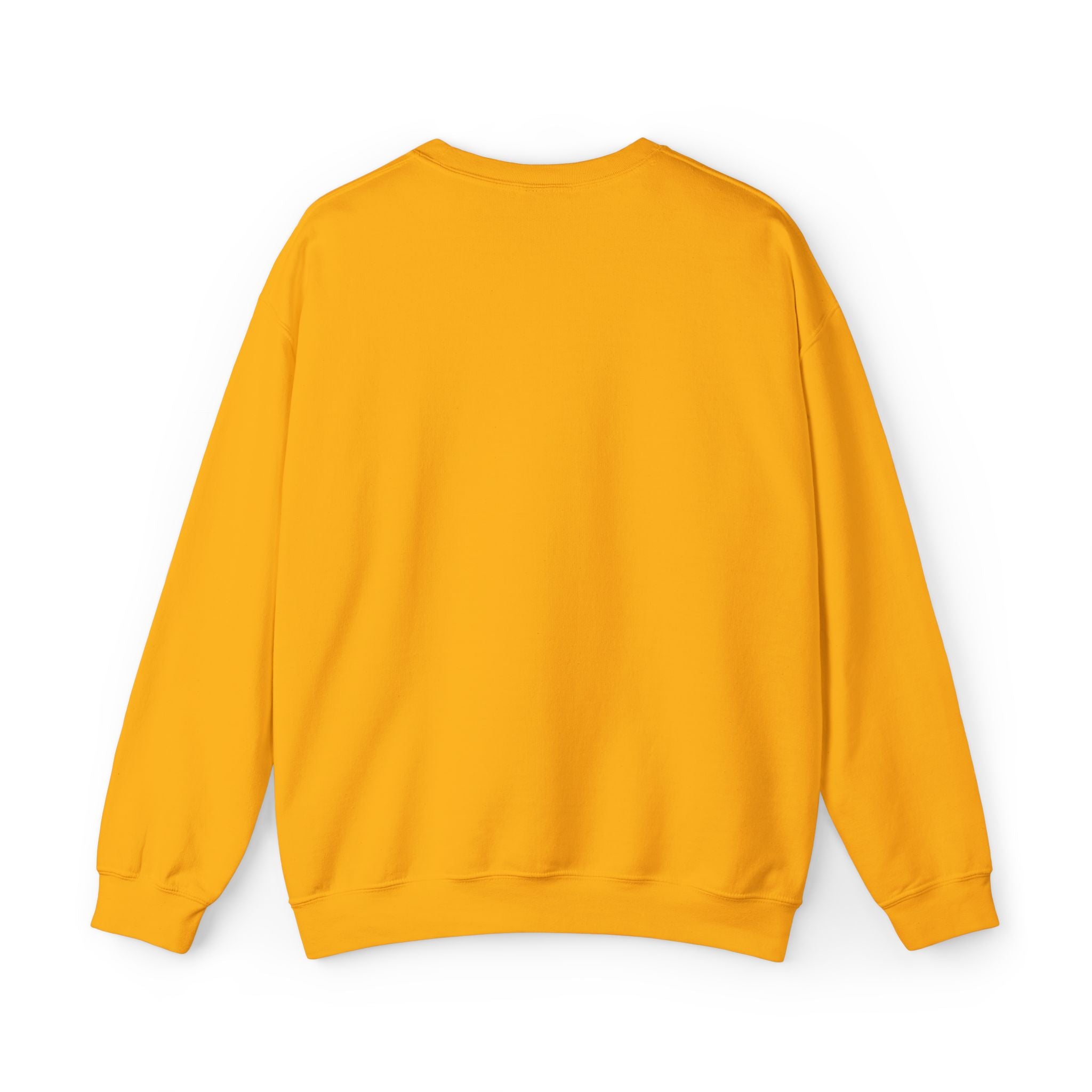 C-17 Embroidered Sweatshirt (Unisex)