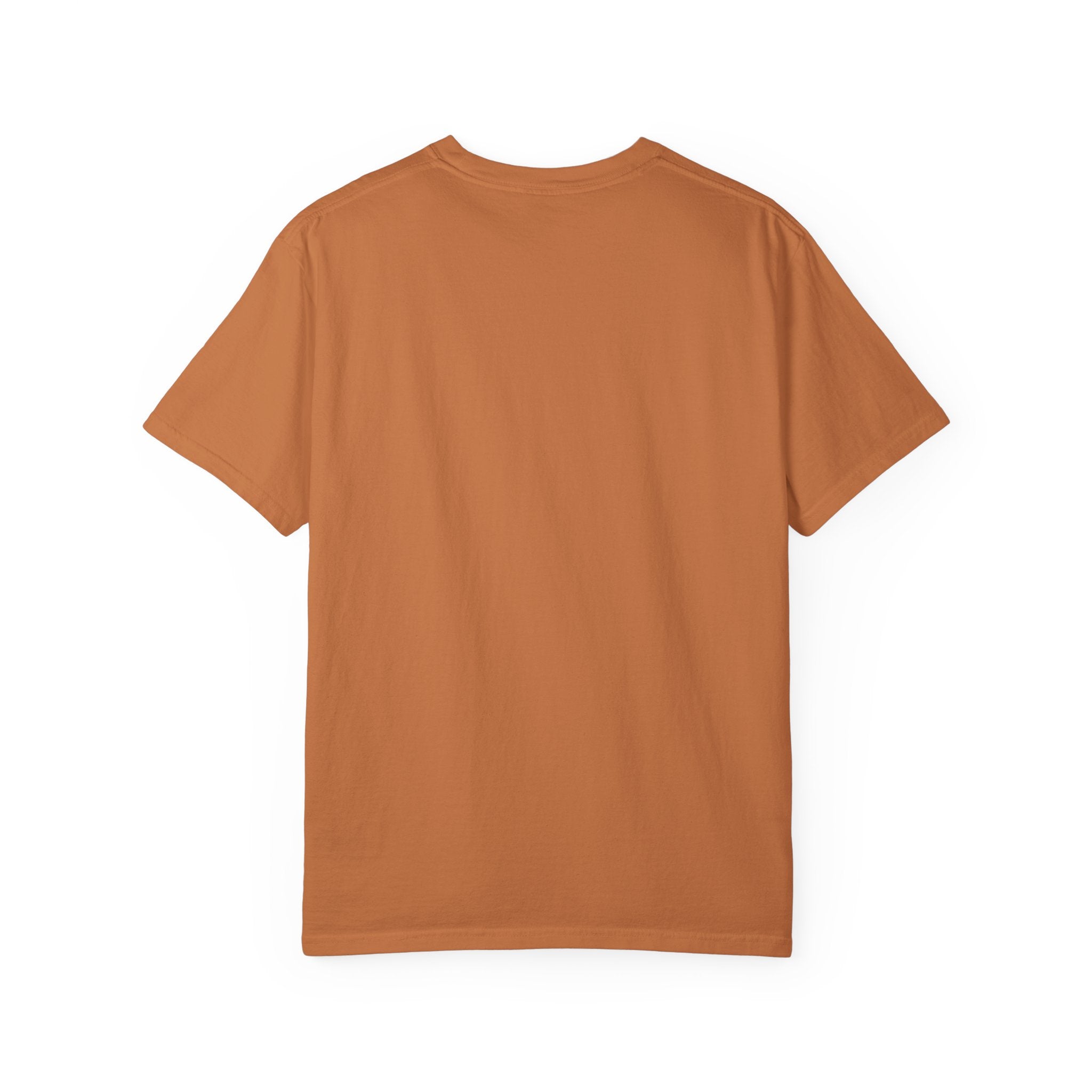 C-17 Silhouette Tee (Unisex)