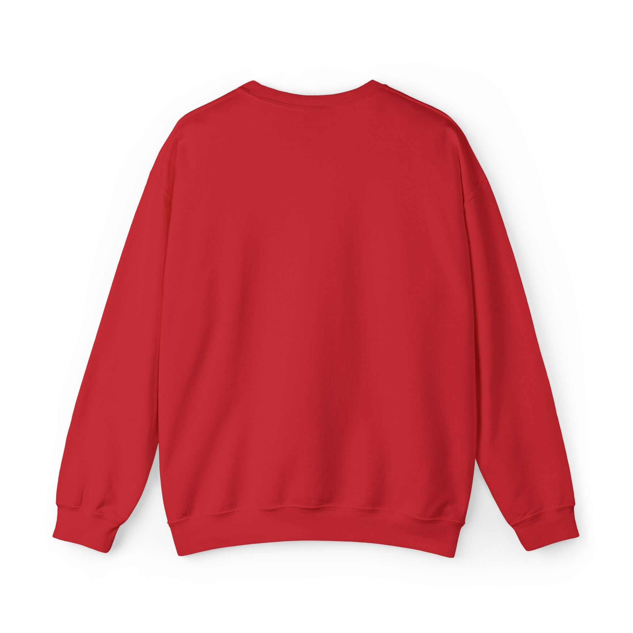 C-17 Embroidered Sweatshirt (Unisex)