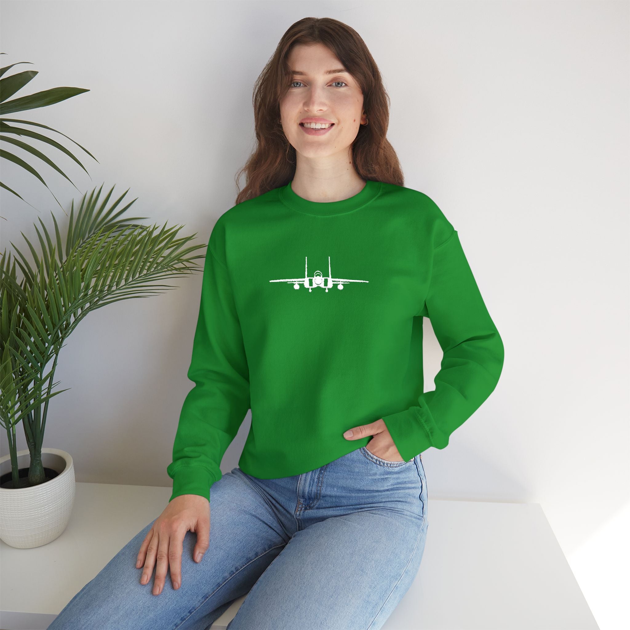 F-15 Embroidered Sweatshirt (Unisex)