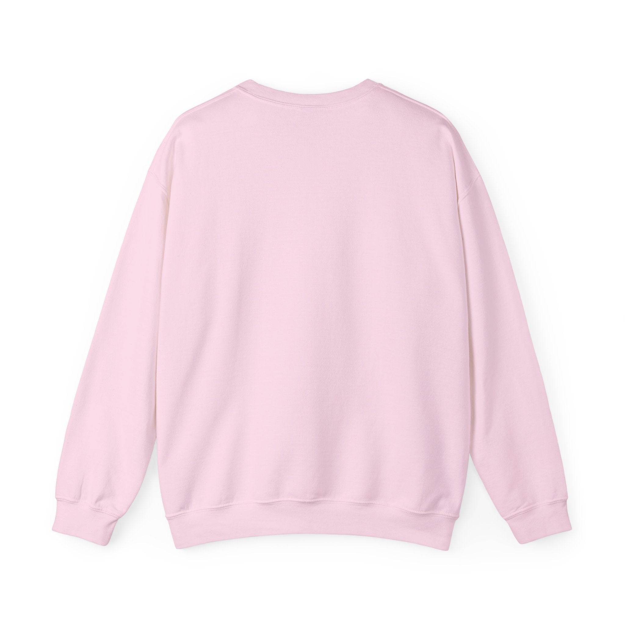F-22 Bats Sweatshirt (Unisex)