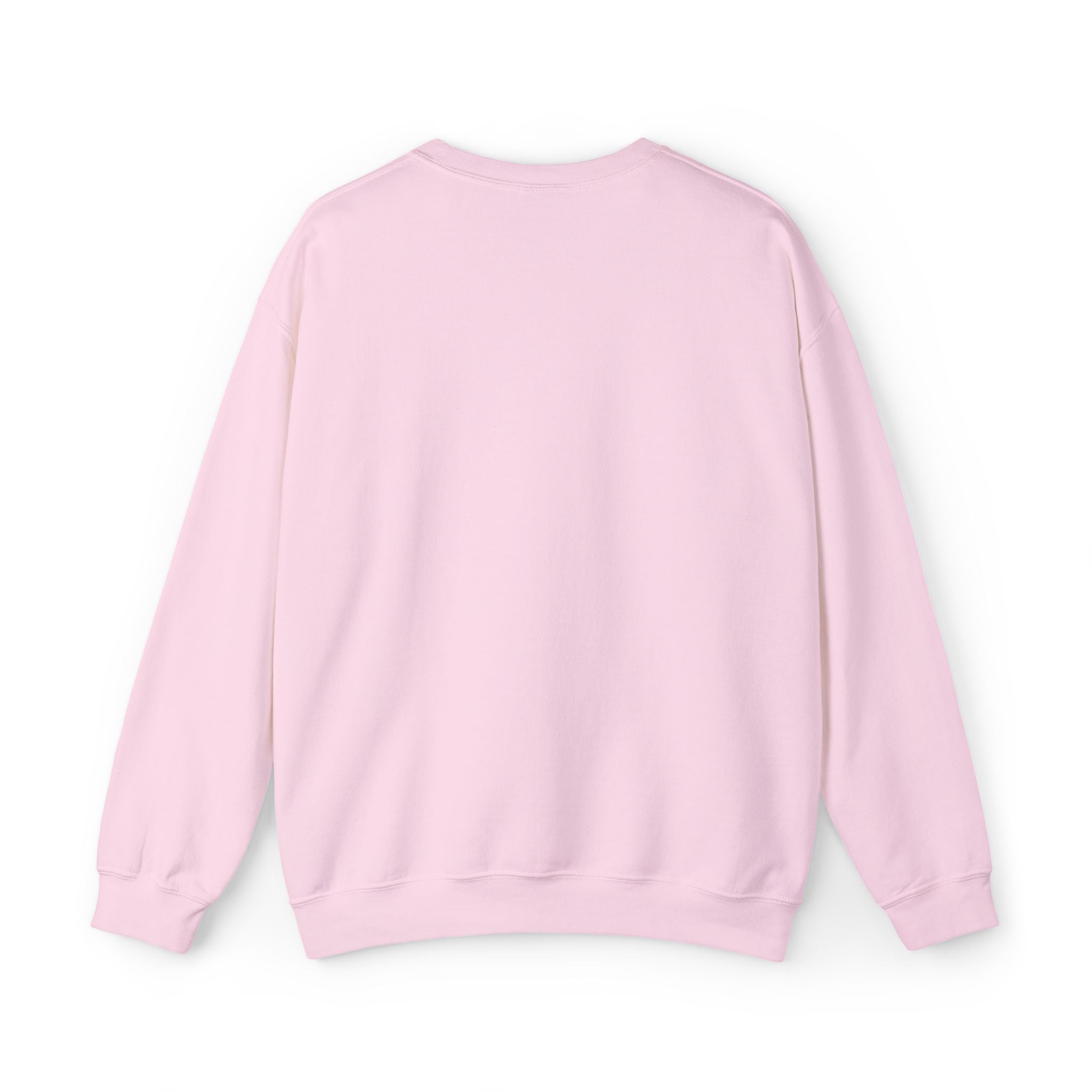 C-17 Embroidered Sweatshirt (Unisex)