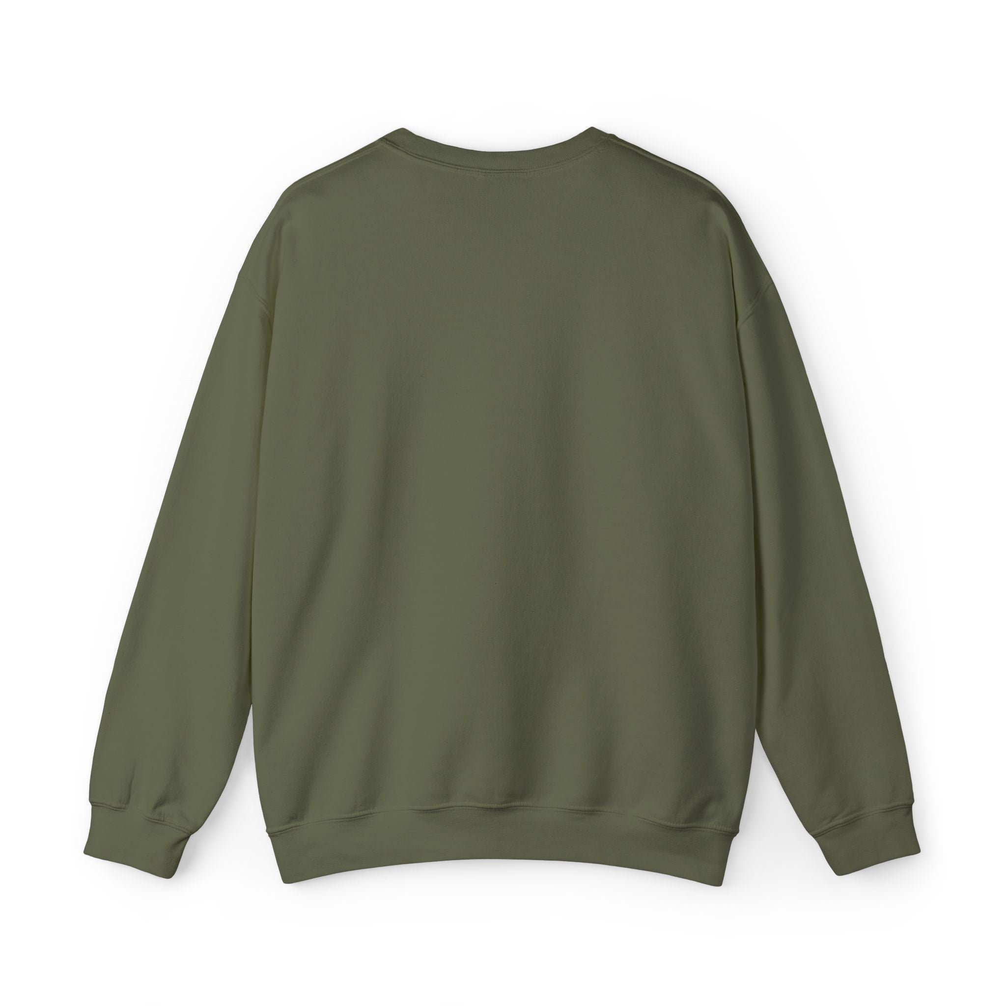 F-22 Embroidered Sweatshirt (Unisex)