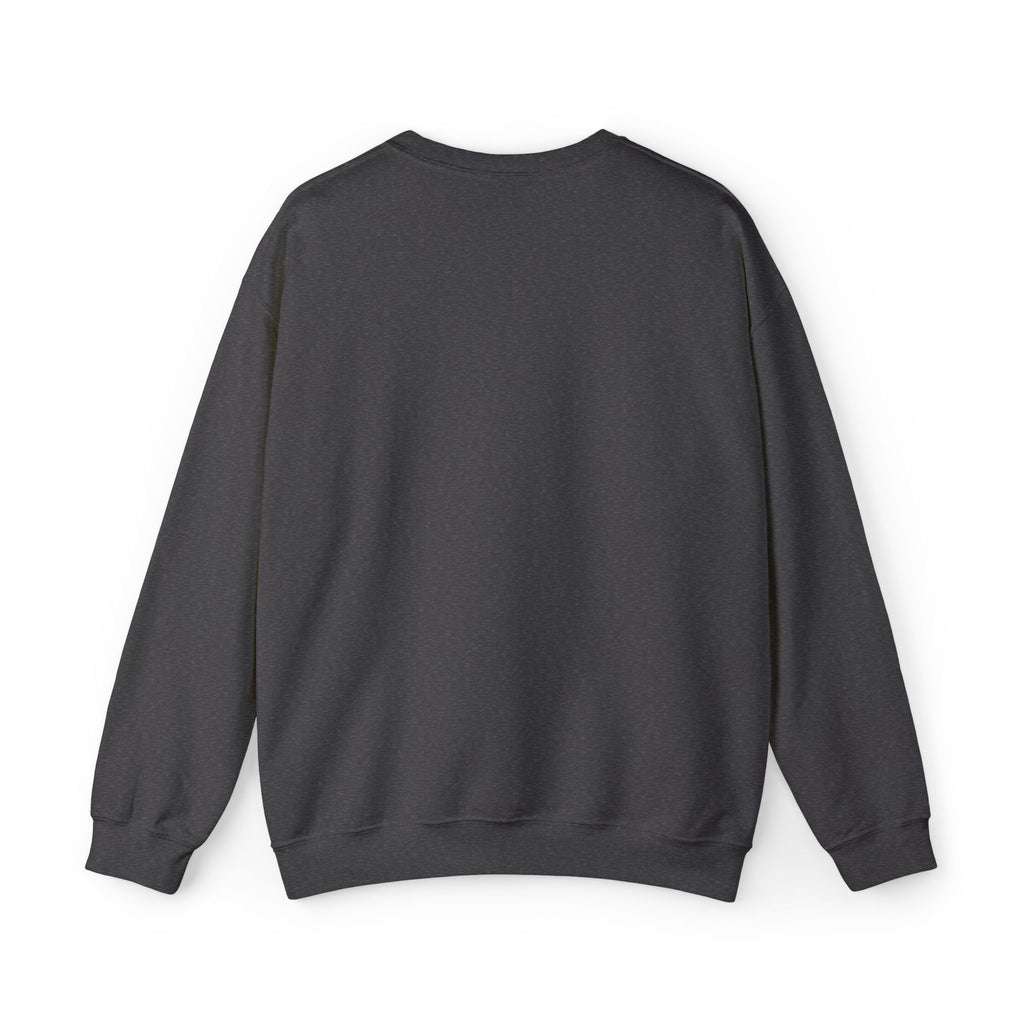 C-17 Embroidered Sweatshirt (Unisex)
