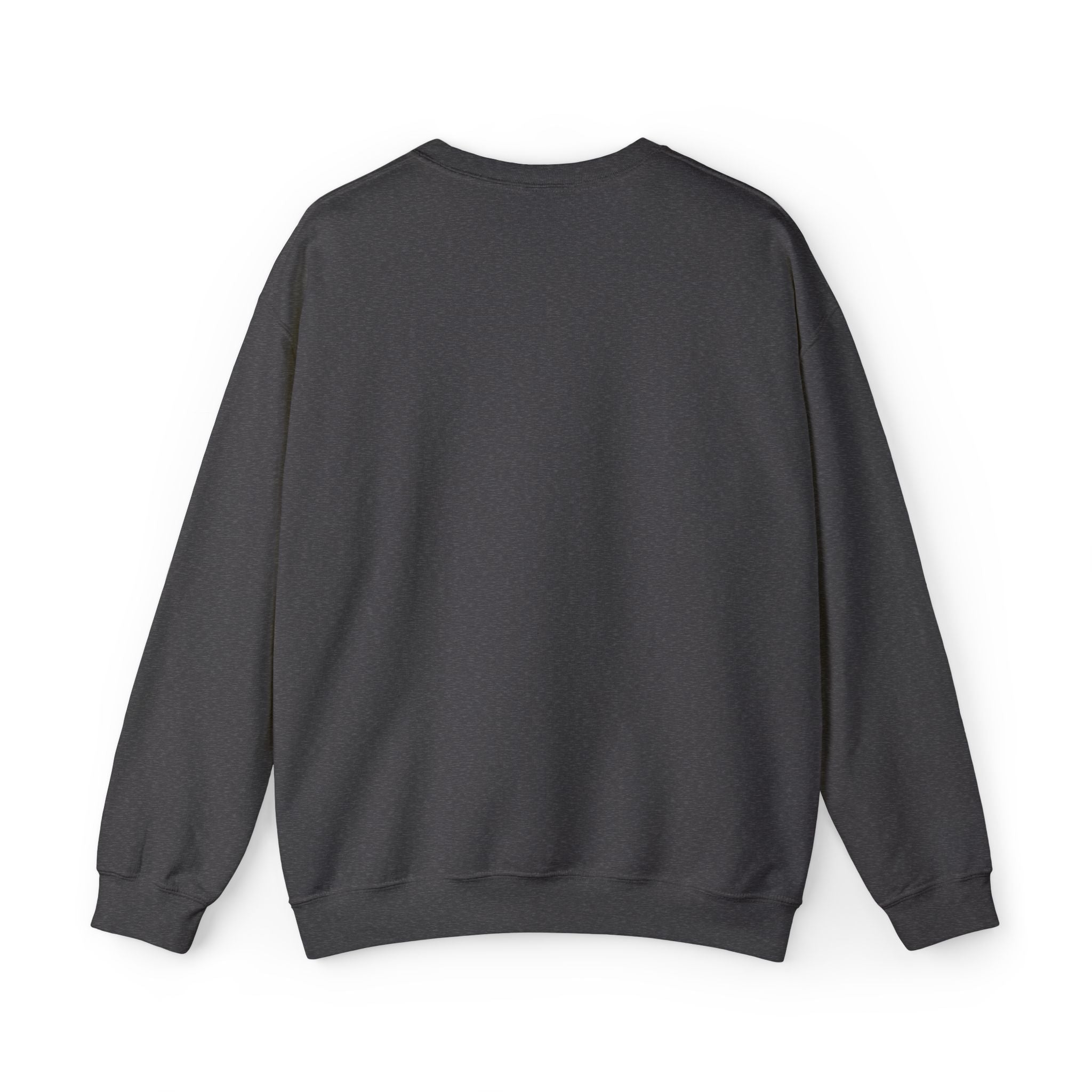 C-17 Embroidered Sweatshirt (Unisex)