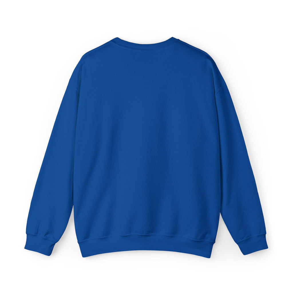 C-17 Embroidered Sweatshirt (Unisex)