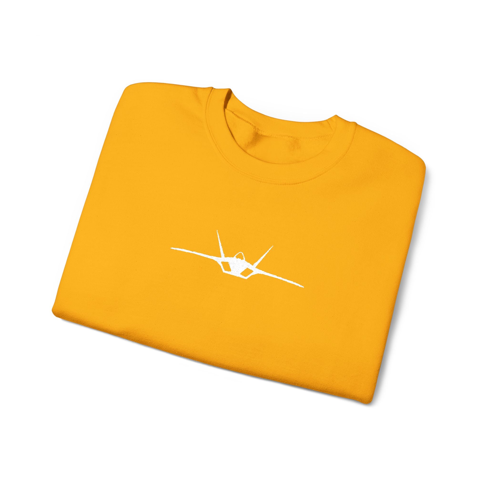 F-22 Embroidered Sweatshirt (Unisex)