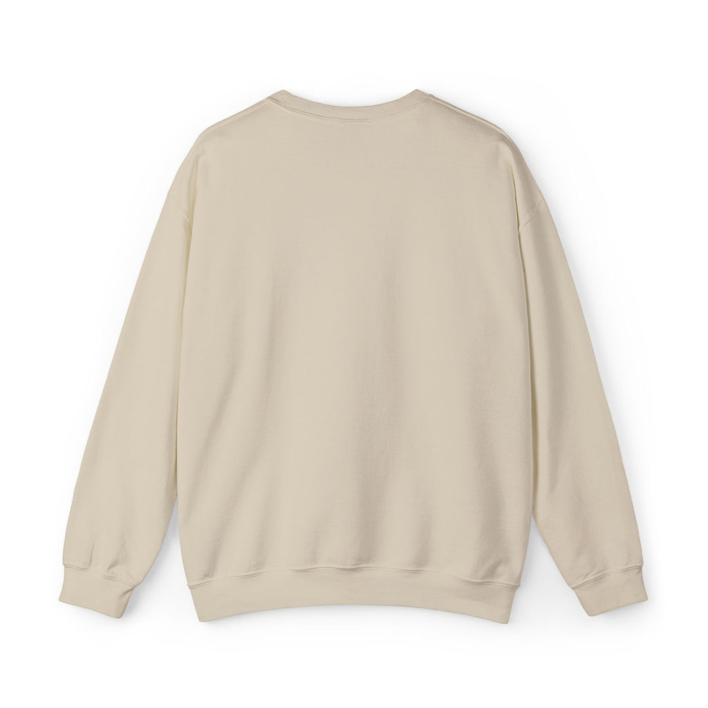 C-17 Embroidered Sweatshirt (Unisex)