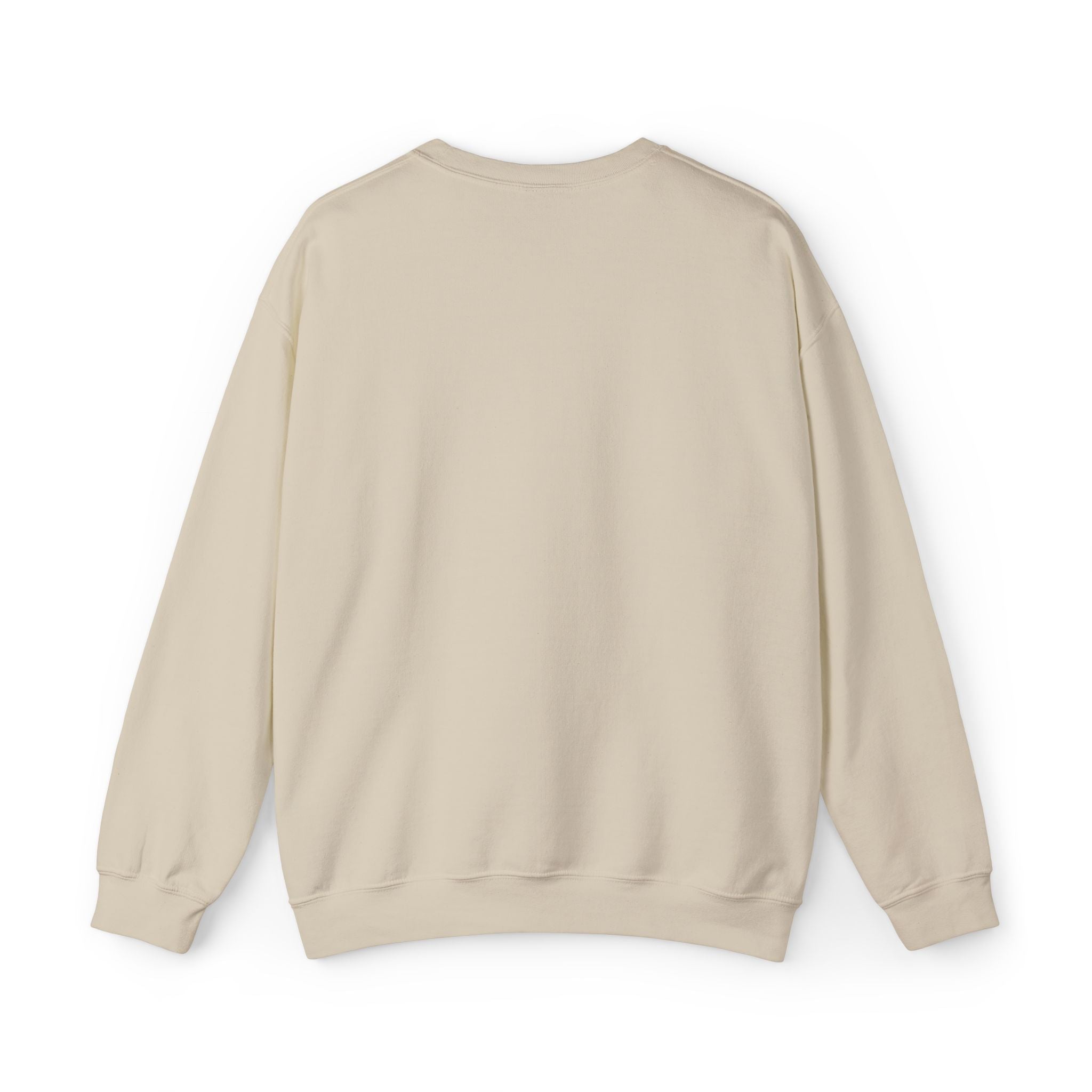 C-17 Embroidered Sweatshirt (Unisex)