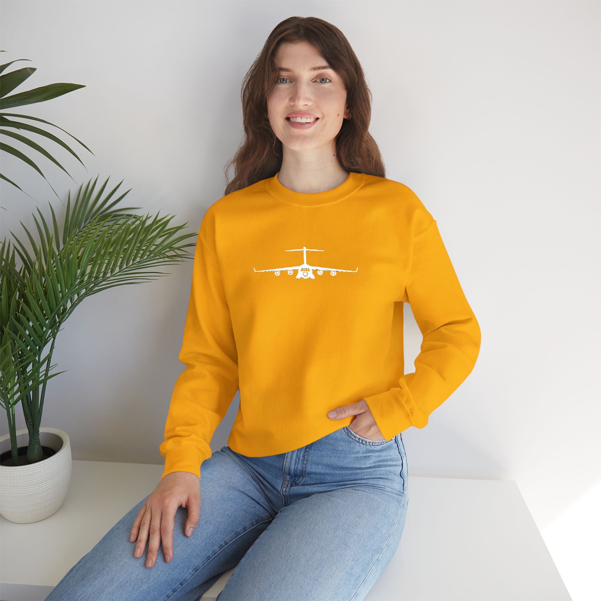 C-17 Embroidered Sweatshirt (Unisex)