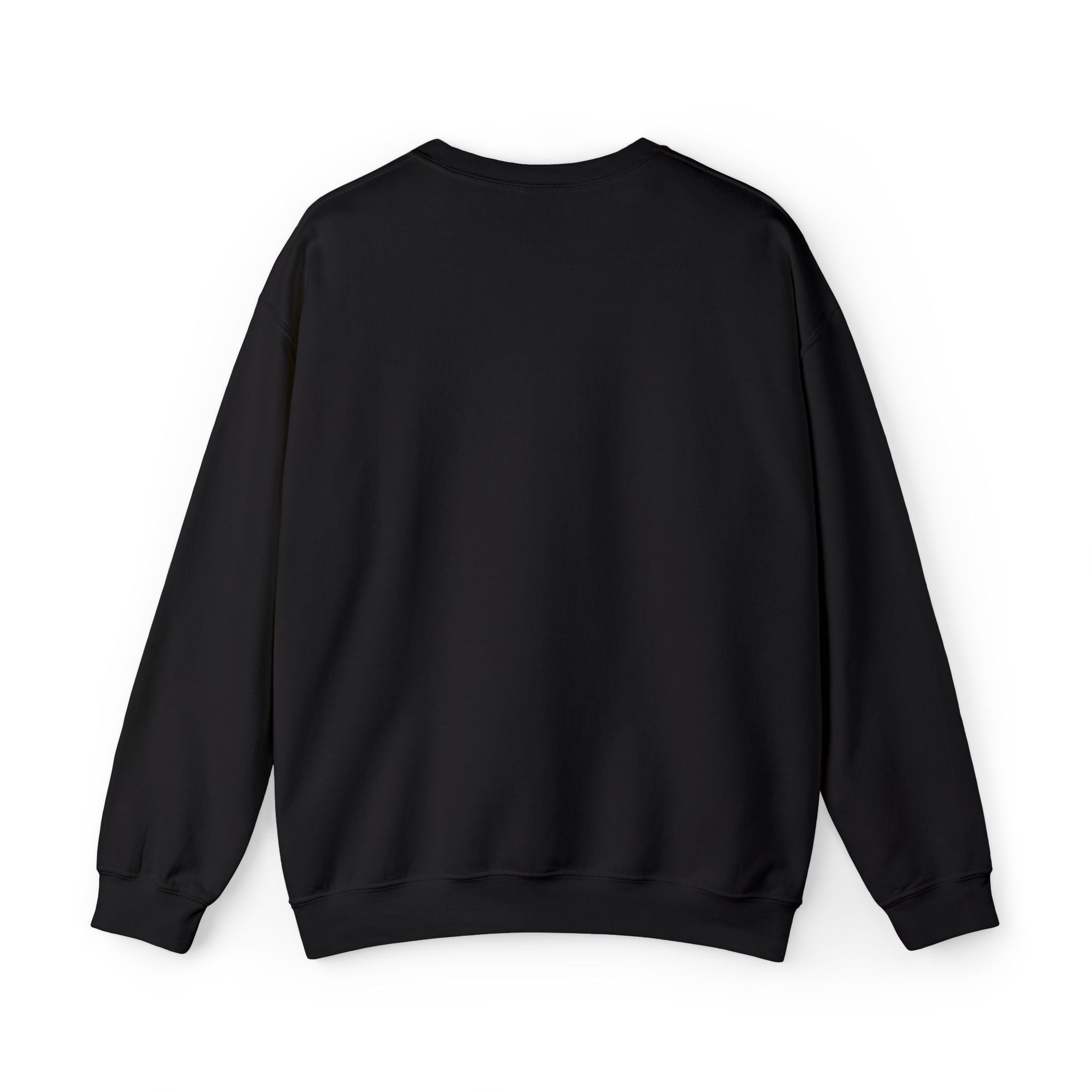 C-17 Embroidered Sweatshirt (Unisex)